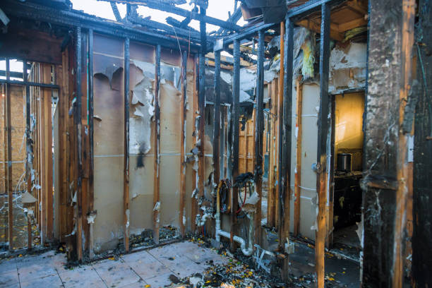 Professional Soot Cleanup technician working in Braidwood, IL